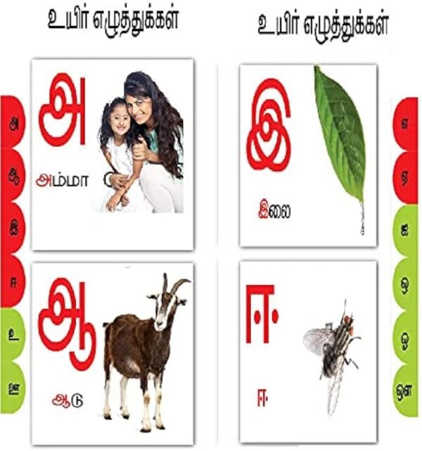SMALL BOARD BOOKS TAMIL ARISUVADEE-1 BOOK